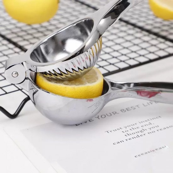 Stainless Steel Juicer